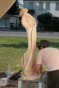 Sculture_Cavino_ 2009 (70)